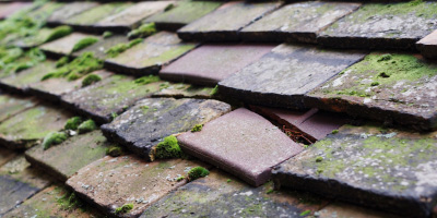Aberystwyth roof repair costs